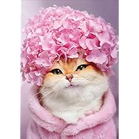 Kitty Cat with Pink Hydrangea Cap Mother's Day Card