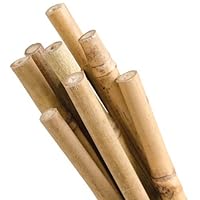Natural First-Cut Bamboo Stakes, Pack of 10 (Approx. 7/16 Inch x 6 Feet)