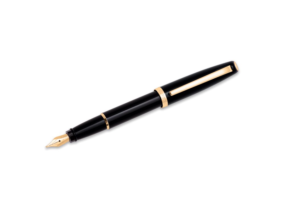 Aurora Style Resin Black and Gold Medium Point Fountain Pen - AU-E12-DN