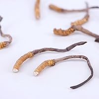 Genuine Dried Cordyceps sinensis/winterworm summerherb, Ophiocordyceps sinensis, naqu cordyceps, 1g. (Broken Grass with Tail)