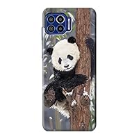 R3793 Cute Baby Panda Snow Painting Case Cover for Motorola One 5G