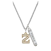 Goldtone Crystal Initial - Silvertone Family Bar Charm Necklace, 23