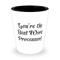 You're the Best Word Processor! Shot Glass, Word processor Ceramic Cup, Special Gifts For Word processor