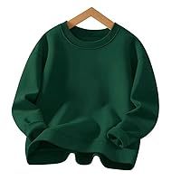 Children's cotton long-sleeved sweater round neck blank version solid color regular autumn children's clothing