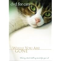 For Cats: While You Are Gone Relaxing Cat Video, Cat Movie for Separation Anxiety For Cats: While You Are Gone Relaxing Cat Video, Cat Movie for Separation Anxiety DVD