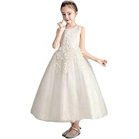 Flower Girls Dress Lace Embroidered Bowknot Wedding Party Formal Sleeveless Princess Pageant Evening Gown