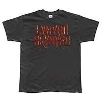 Old Glory Lynyrd Skynyrd - Boys Foil Logo Youth T-Shirt Youth X-Small Grey