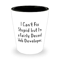 Reusable Web developer, I Can't Fix Stupid but I'm a Fairly Decent Web Developer, Web developer Shot Glass From Friends