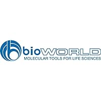 bioWORLD 41810012-1 Rifampicin, 1 g