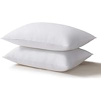 Acanva Bed Pillows for Sleeping 2 Pack, Alternative Microfiber Filled, Natural Cover Skin-Friendly, Soft and Supportive for Side Back Sleepers, Queen Size(Pack of 2), White 2 Count