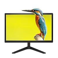 Raypodo 18.5 inch PC Monitor with VGA Monitor (White)