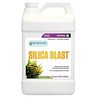 SILICA BLAST 1GAL