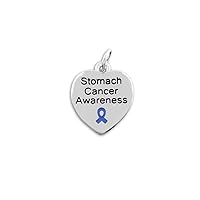 Fundraising For A Cause Stomach Cancer Awareness Heart Charm in a Bag