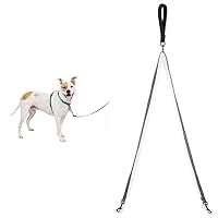 PetSafe 3 in 1 No-Pull Dog Harness and Two Point Control Leash Bundle