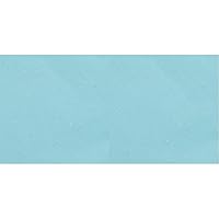 Jillson Roberts 24 Sheet-Count Gemstone Holographic Fleck Tissue Paper Available in 12 Colors, Aqua (GS44) (Pack of 2)