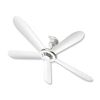 Ceiling Lamp Ceiling Fans with Lamp Large Wind Small Ceiling Fan Home Five-Leaf Fan, Indoor Lighting
