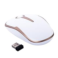 Wireless Gaming Mouse 2.4G Portable Mobile Optical Mice with USB Nano Receiver for Laptop,PC,Computer,Chromebook,Macbook,Notebook(Platinum)