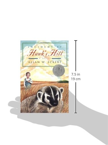 Incident at Hawk's Hill (Newbery Honor Book)