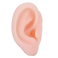 Silicone Ear Model, Simulation Multifunctional Left Human Ear Model Display Tool for Wearing, Window Display & Ear Impressions Exercise