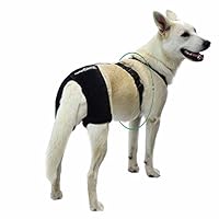 Ortocanis - Hip Support for Dogs with Hip Dysplasia or Osteoarthritis (Size XS)