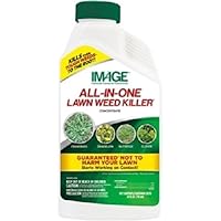 100523495 All-N-1 Killer Weed, 24 oz, Clear