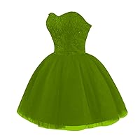 Lace Tulle Homecoming Dresses for Teens 2024 Short Beaded Sweet 16 Prom Dress A Line Cocktail Evening Party Gowns