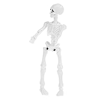 Movable Mr. Skeleton Human Model Skull Full Body Figure Toy Halloween Toy Storage Unit with Bookshelf