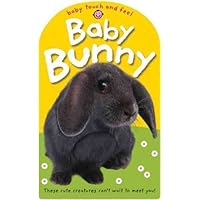 Baby Touch and Feel Baby Bunny Baby Touch and Feel Baby Bunny Hardcover Paperback Board book