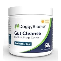 Dog Prebiotic Gut Cleanse Powder to Support a Healthy Gut - DoggyBiome