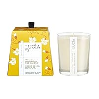 Lucia Votive, Tea Leaf and Wild Honey, 0.18 Ounce