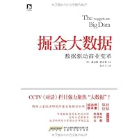 Nuggets big data(Chinese Edition)