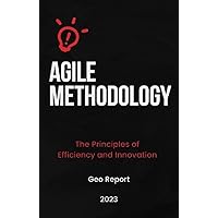 Agile Methodology: The Principles of Efficiency and Innovation