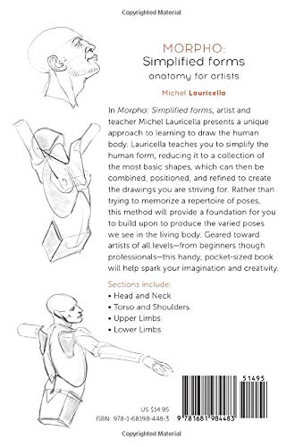 Mua Morpho: Simplified Forms: Anatomy for Artists (Morpho: Anatomy for