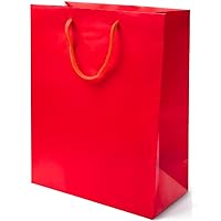 Solid Glossy Apple Red Medium Bag - 9.25