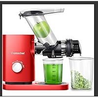 AMZCHEF Professional Slow Juicer, Vegetable & Fruit Juicer Machine, Two speeds, Silent motor ≤60dB, Cleaning brush & Juice jug Include, (150 Watts/Silver)