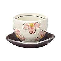 Yamakiikai Kimura White Glaze Cherry Blossom 1 Bowl Plate