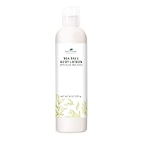 Plant Therapy Tea Tree Body Lotion with Aloe and Shea, Hydrate and Nourish Skin with Botanical Ingredients, 8 oz