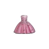 Kids Little Girls' Dress Floral Party Princess Butterfly Wedding Embroidered Tulle