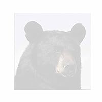 Black Bear Sticky Notes - Set of 3 - Wildlife Animal Theme Design - Stationery Gift - Paper Memo Pad - Office Business School Supplies