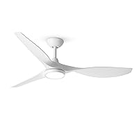 Ceiling Fans with Lights,Large Airflow 52inch Modern Ceiling Fan with Quite Reversible DC Motor 3 Color Temperature LED Light (White)