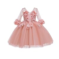 Girls' mesh Puffy Princess Evening Dress,Children's Catwalk Dress,Flowers Decoration Fairy Dresses. (Green, 3X_l)