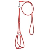 Dogline Soft Round/Rolled Genuine Leather Step-In Harness with 15 to 20-Inch Chest and 36-Feet Leash, Red