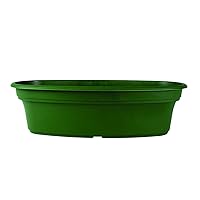 12 Inch Panterra Oval Planter - Decorative Plastic Plant Pot with Drainage for Outdoor Plants, Green
