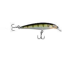 Rapala X-Rap Jerkbait 10 Fishing Lure