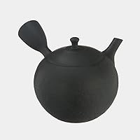 Tokoname Pottery : HOKURYU - Japanese Pottery Kyusu Tea Pot 260cc ceramic mesh net [Standard ship by Int'l e-packet: with Tracking & Insurance]