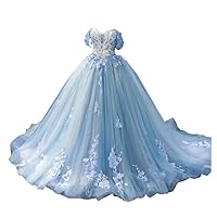 White Lace Light Blue Tulle Aline Princess Off Shoulder Wedding Dresses for Bride Women with Sleeves Tulle 2024
