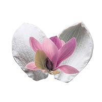 Lotus Magnolia Silicone Mold Fondant Craft Clay Art Flower Cake Tool