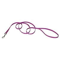 Coastal Pet Single-Ply Dog Leash - Leashes for Puppies & Dogs - Fade-Resistant Dog Leash - Features a Bolt Snap - Pet Supplies for Dogs - Orchid, 3/8