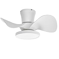 ocioc Quiet Ceiling Fan with LED Light 22 inch Large Air Volume Remote Control for Kitchen Bedroom Dining Room Patio