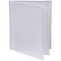 Big Skinny Plastic Photo Sleeve Insert for Tri-Fold Slim Wallet, Clear